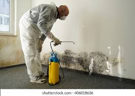 Mold Documentation for Insurance Claims in Fairmont City, IL